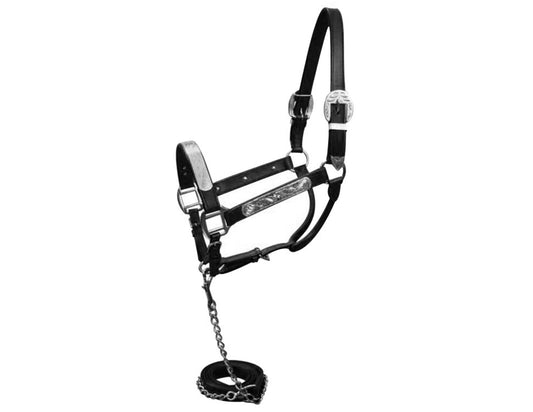 Horse size show halter with matching lead