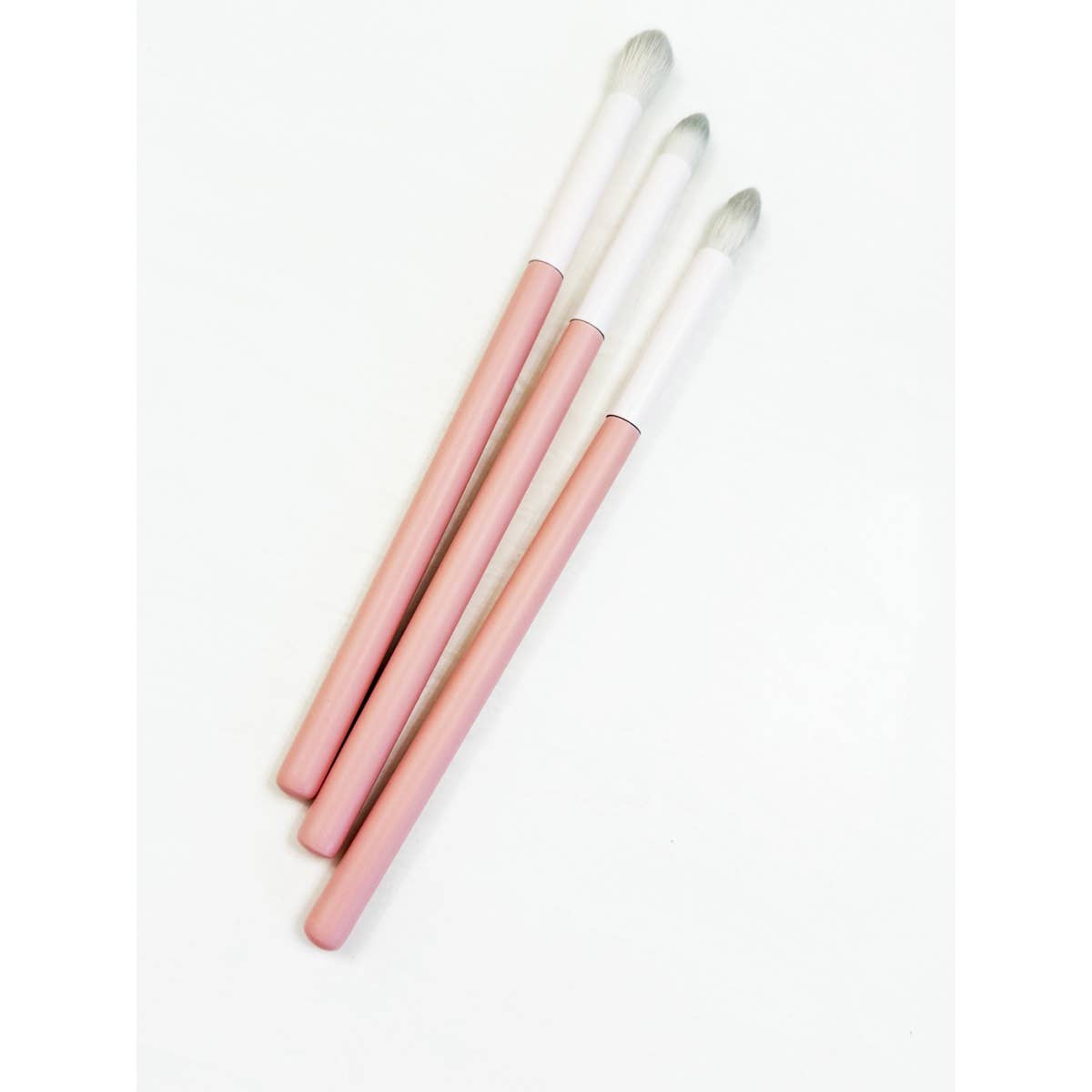 Make Up Brush with individual Case