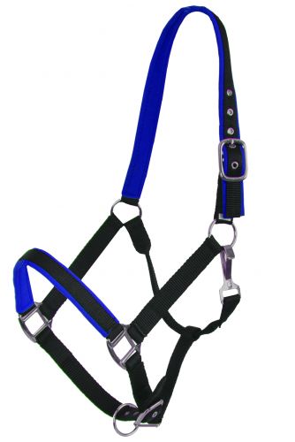 Showman Full Size Neoprene Lined Halter. AVERAGE HORSE 800-1100LBS