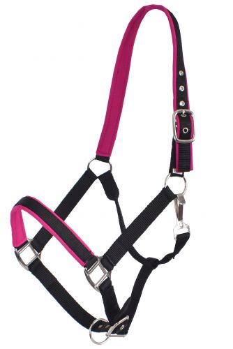 Showman Full Size Neoprene Lined Halter. AVERAGE HORSE 800-1100LBS