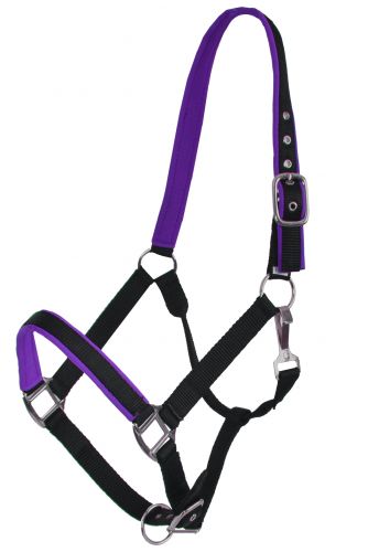 Showman Full Size Neoprene Lined Halter. AVERAGE HORSE 800-1100LBS