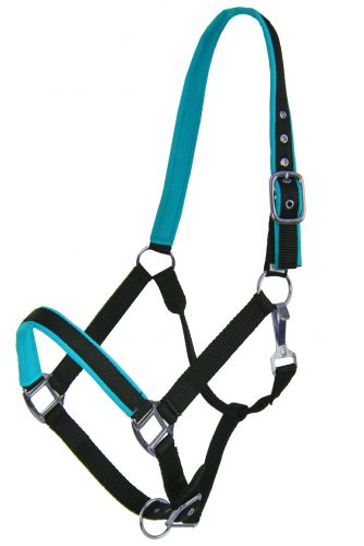 Showman Full Size Neoprene Lined Halter. AVERAGE HORSE 800-1100LBS