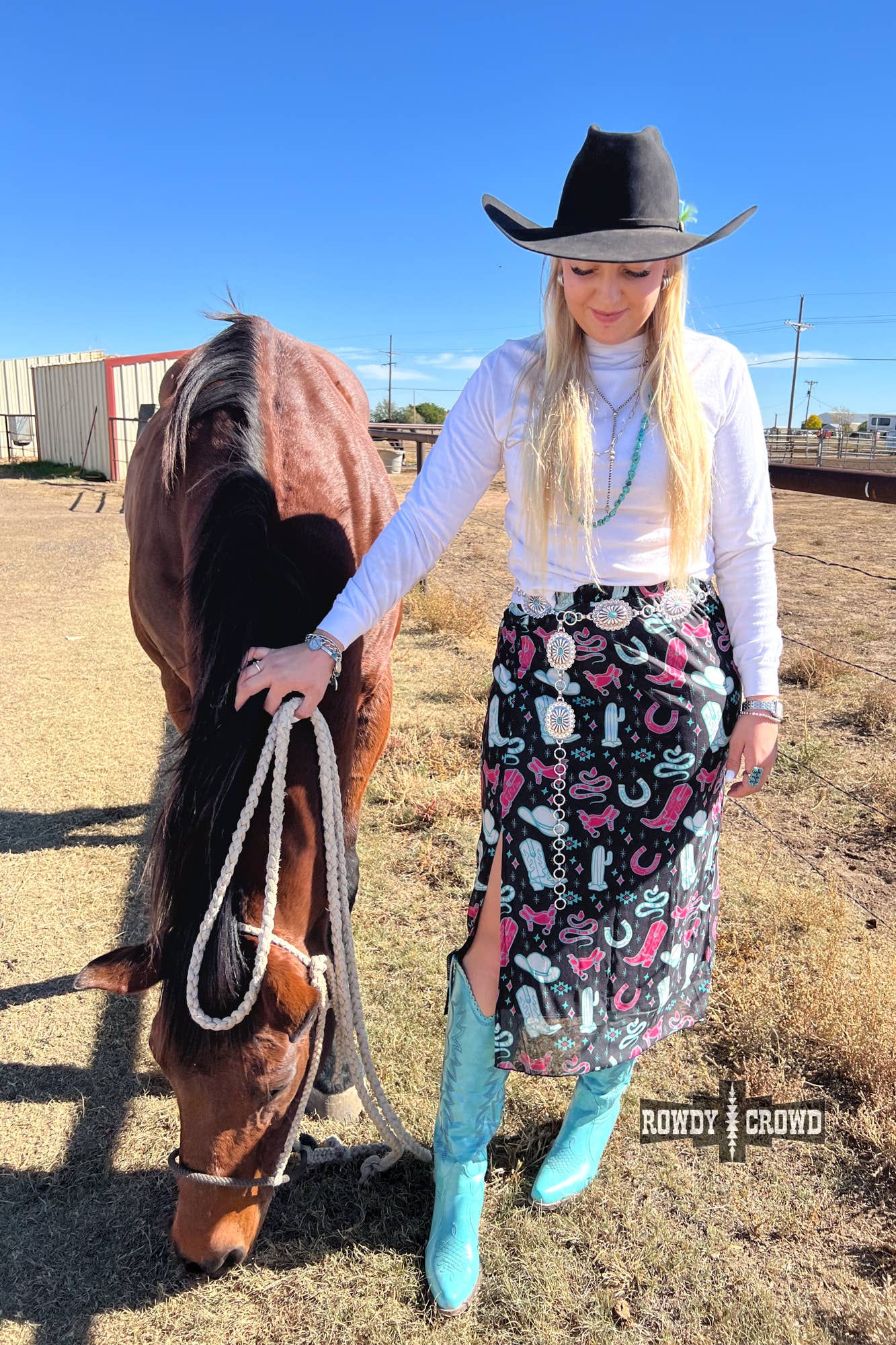 Western Sky Skirt: Medium