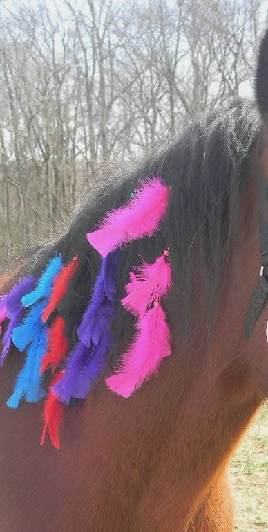 Assorted Color 14" Feather Mane and Tail Clips Horse Costume